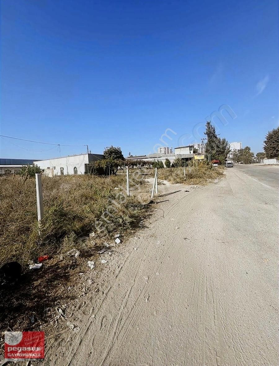 Pegasus Gayrimenkulden Ticaret Turizm İmarlı Arsa - Görsel 7