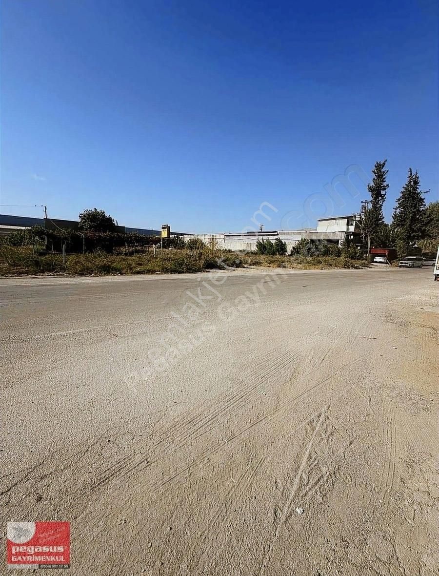 Pegasus Gayrimenkulden Ticaret Turizm İmarlı Arsa - Görsel 5