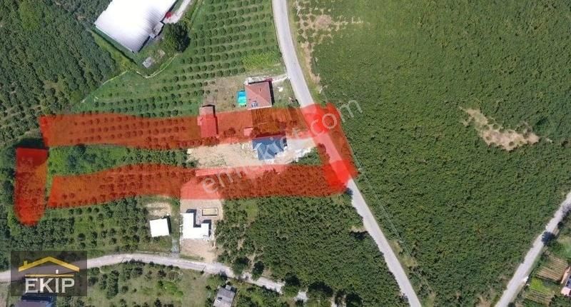 Sakarya Kaynarcada %40 İmarlı Kafası Bitmiş Villa Ve Arsası