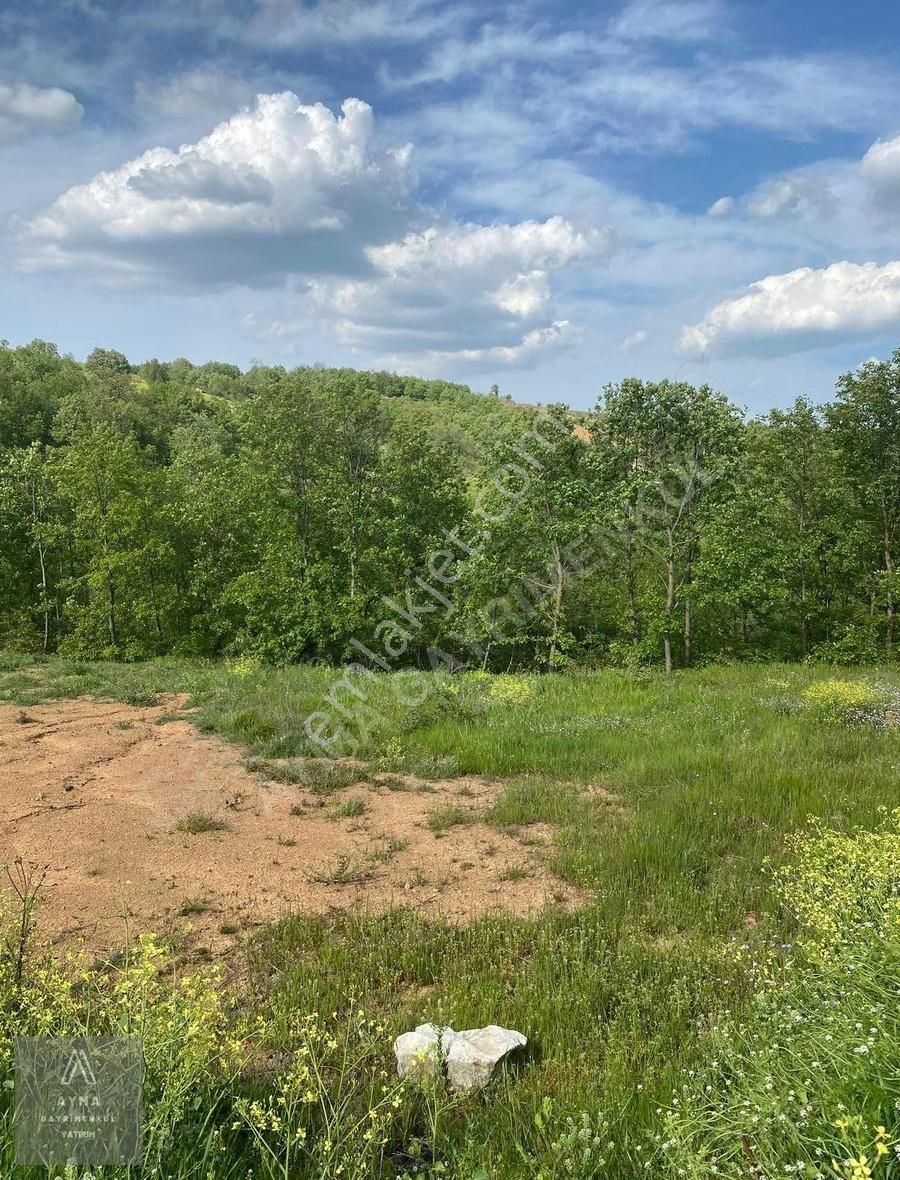 Ayma'dan Güngörende Yola Cephe 1900 M2 Tek Tapu Satılık Tarla