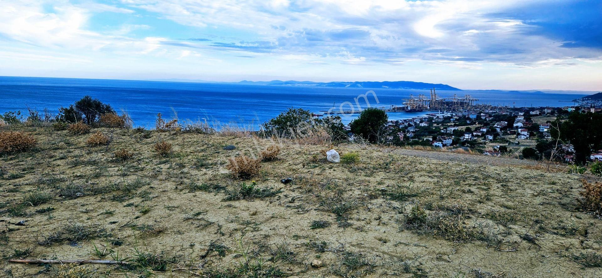 Acil Satılık Full Deniz Ve Doğa Manzaralı Fırsat Arsa