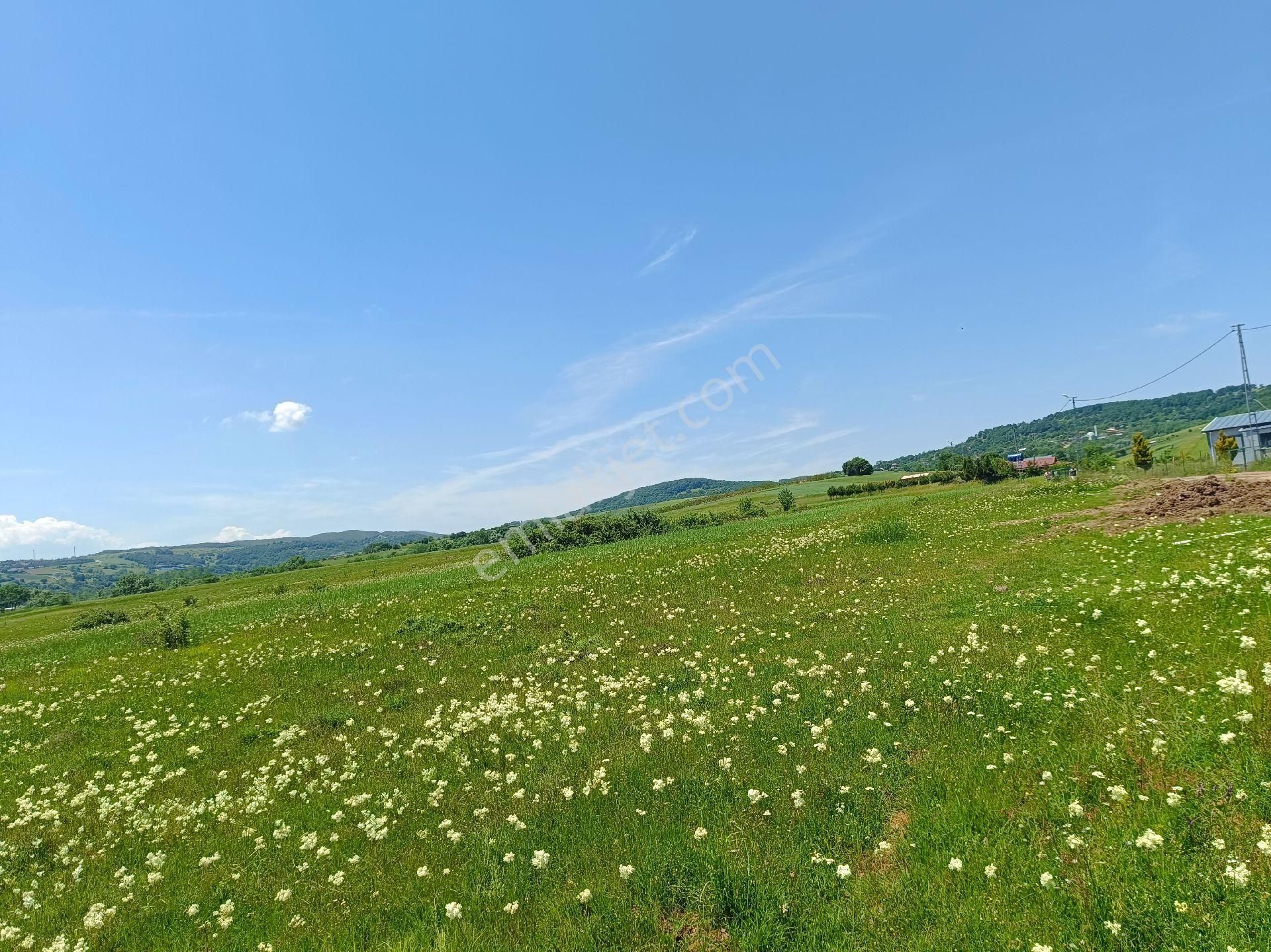 Körfez Çıraklı Da 5538m2 Tarla