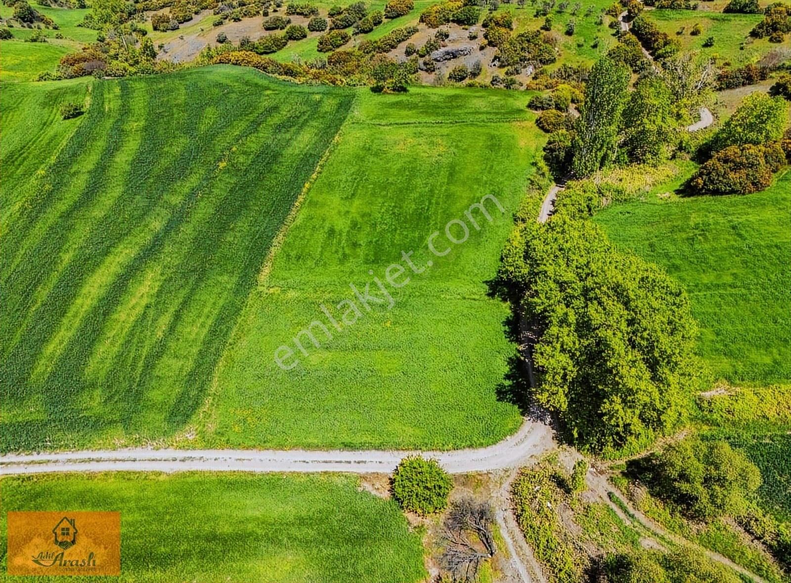 Adil Araslıdan Lapseki Şahinlide Satılık 1.313 M2 Tarla