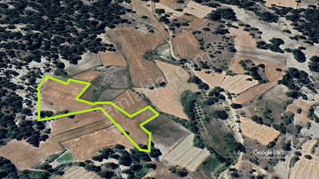 Çameli Cumaalanında Yatırımlık Çok Uyguna 2 Tapu 7700 M2 Tarla