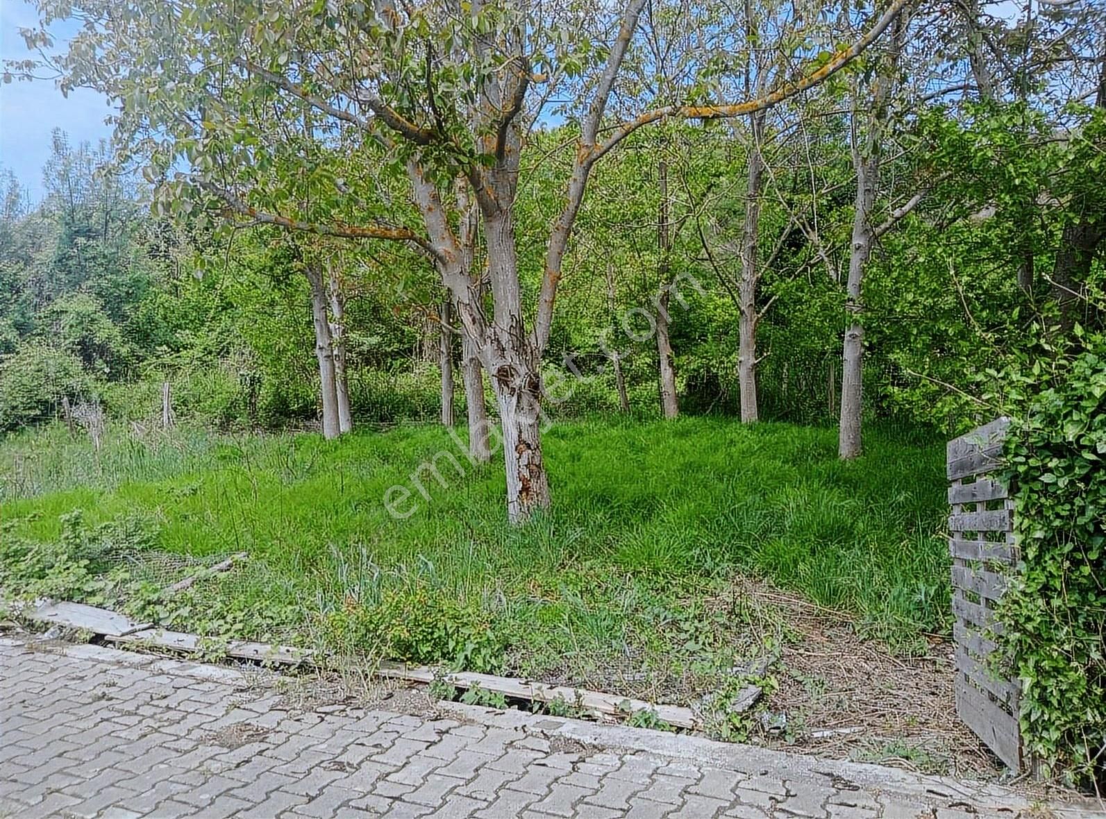 Cumhuriyet Mahallesi'nde Satılık 2 Adet Arsa