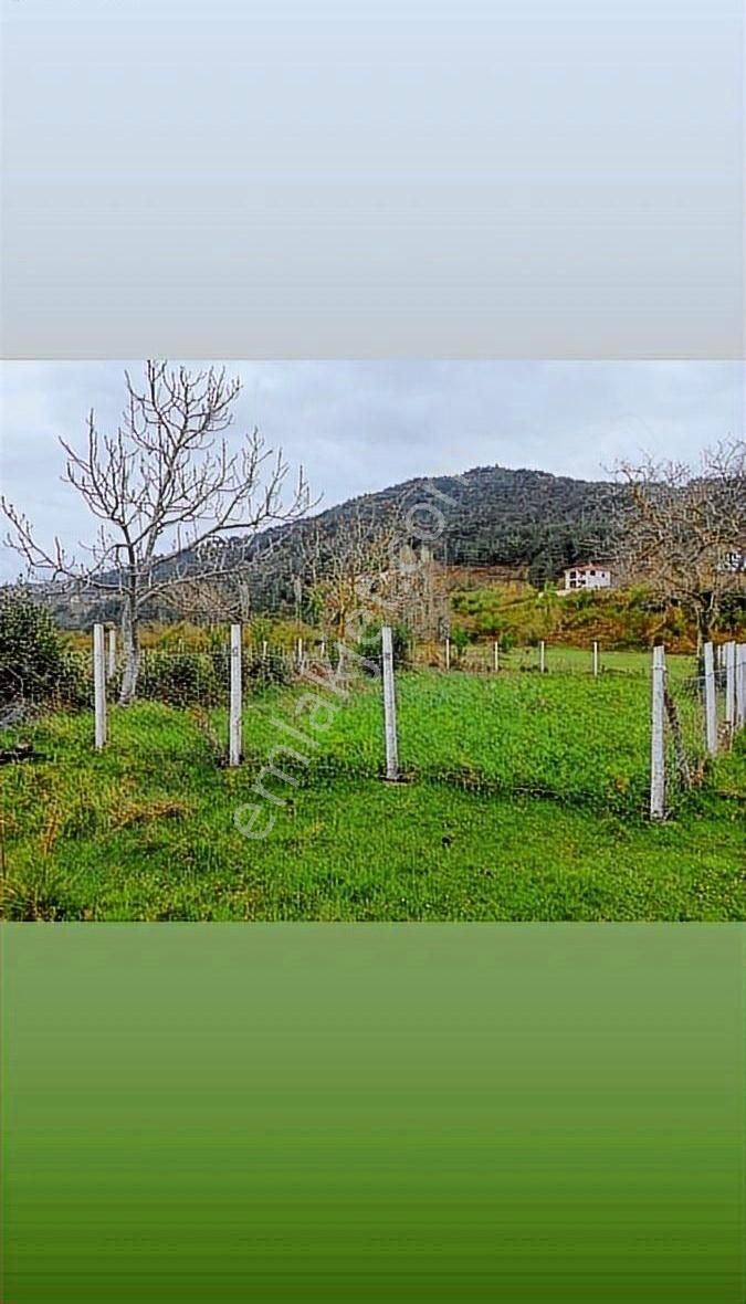 Denize 200 Metre Mesafede Satılık Hobi Bahçesi