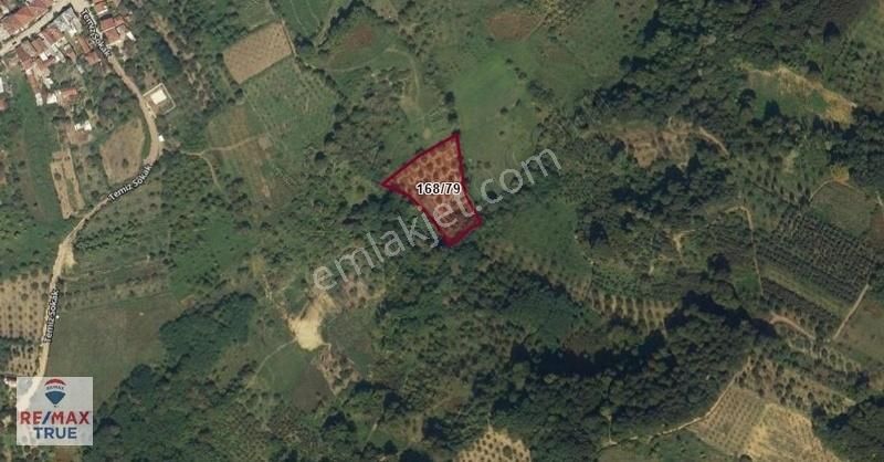 Kocaeli Kartepe Avluburun Mahallesi'nde 4090 M2 Yatırımlık Tarla