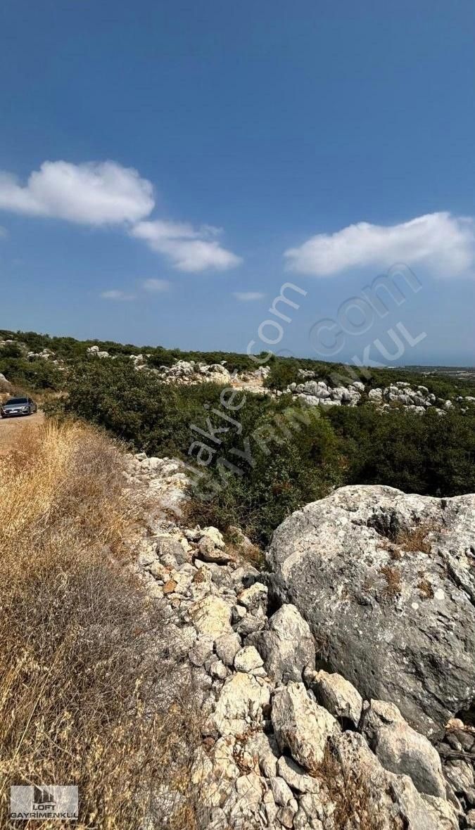 Bu Fiyata Hemen Al
