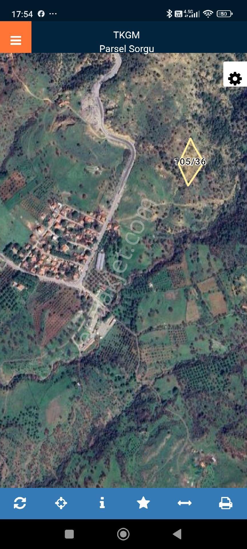 Yılmazer Emlaktan Satılık Nebilerde Palamutlu Tarla - Görsel 3