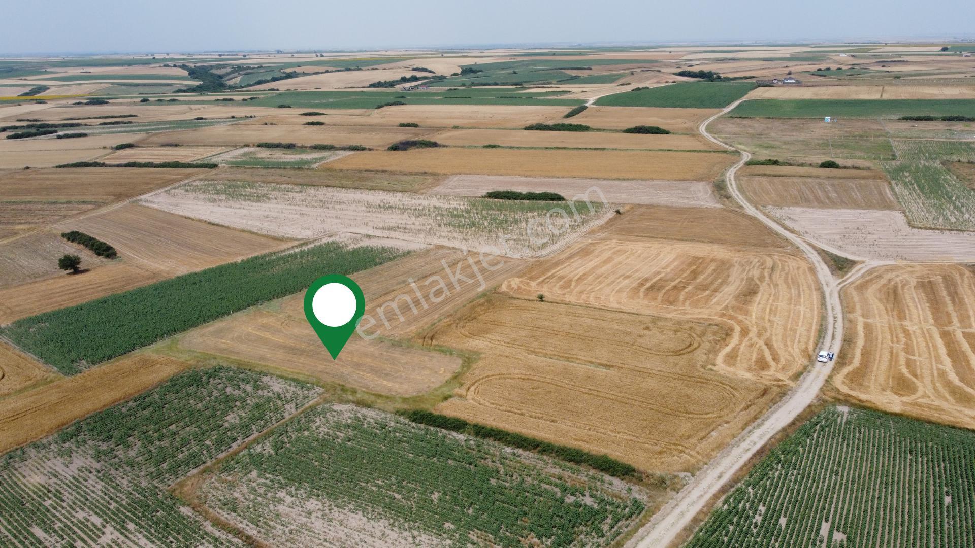 Tekirdağ Kapaklı Karlı'da Satılık 1634 Mt2 Tarla - Görsel 11