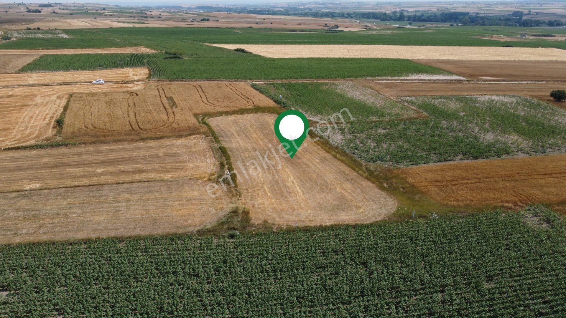 Tekirdağ Kapaklı Karlı'da Satılık 1634 Mt2 Tarla