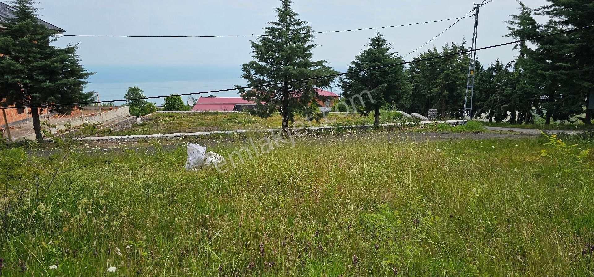 Öztürkler Gayrimenkulden Trabzon Akçaabat Sarıtaşta Villalık Lüks Satılık Arsalar