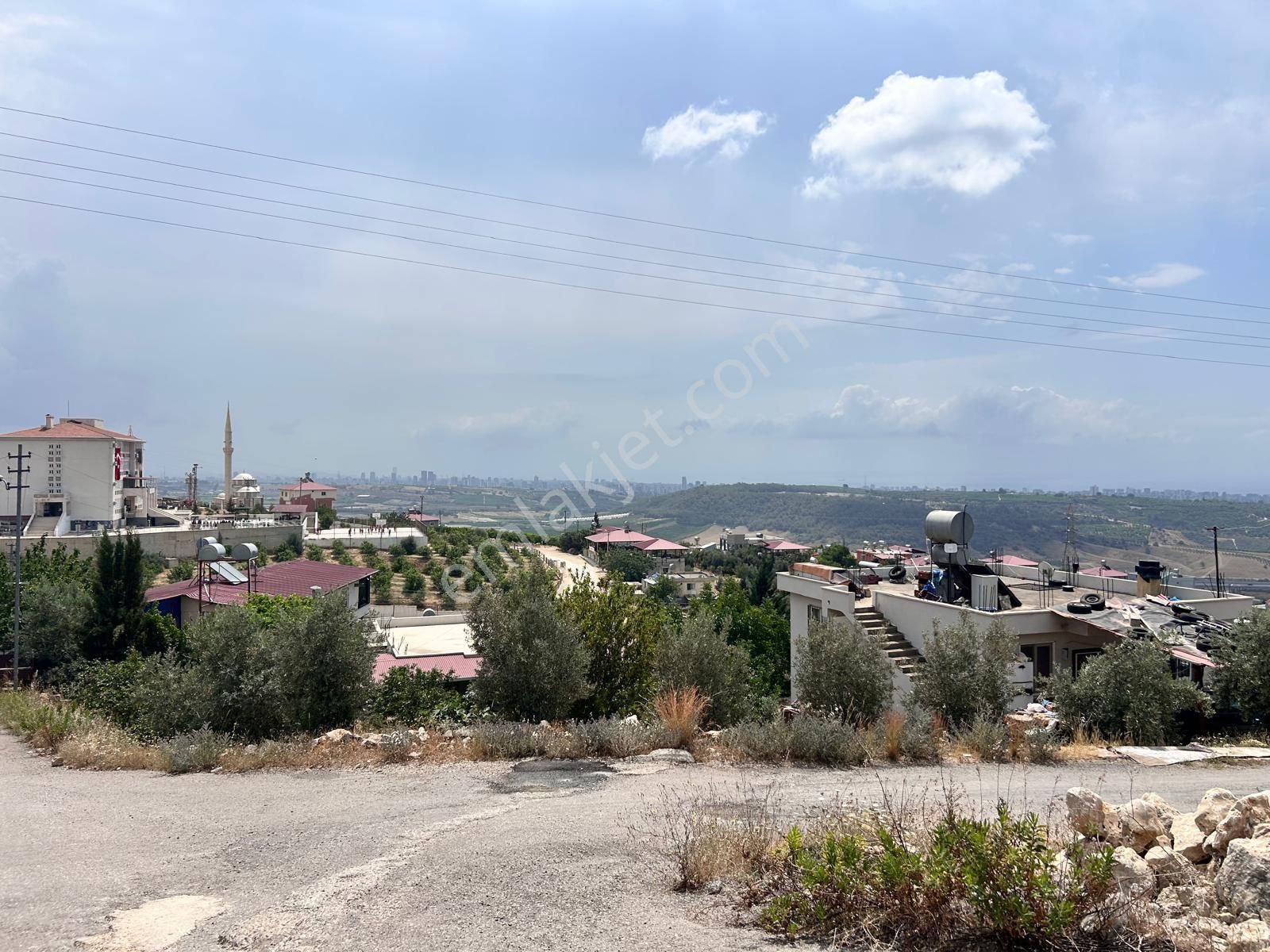 Gen Yapıdan Bozönde Önü Kapanmaz