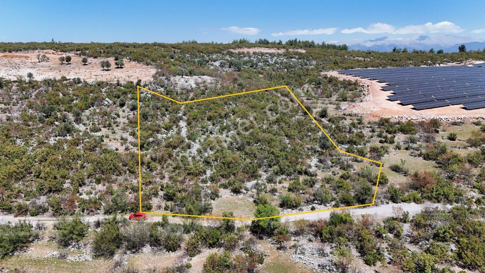 Alanya Karamanlar Mahallesinde Satılık 12.560 M2 Tarla