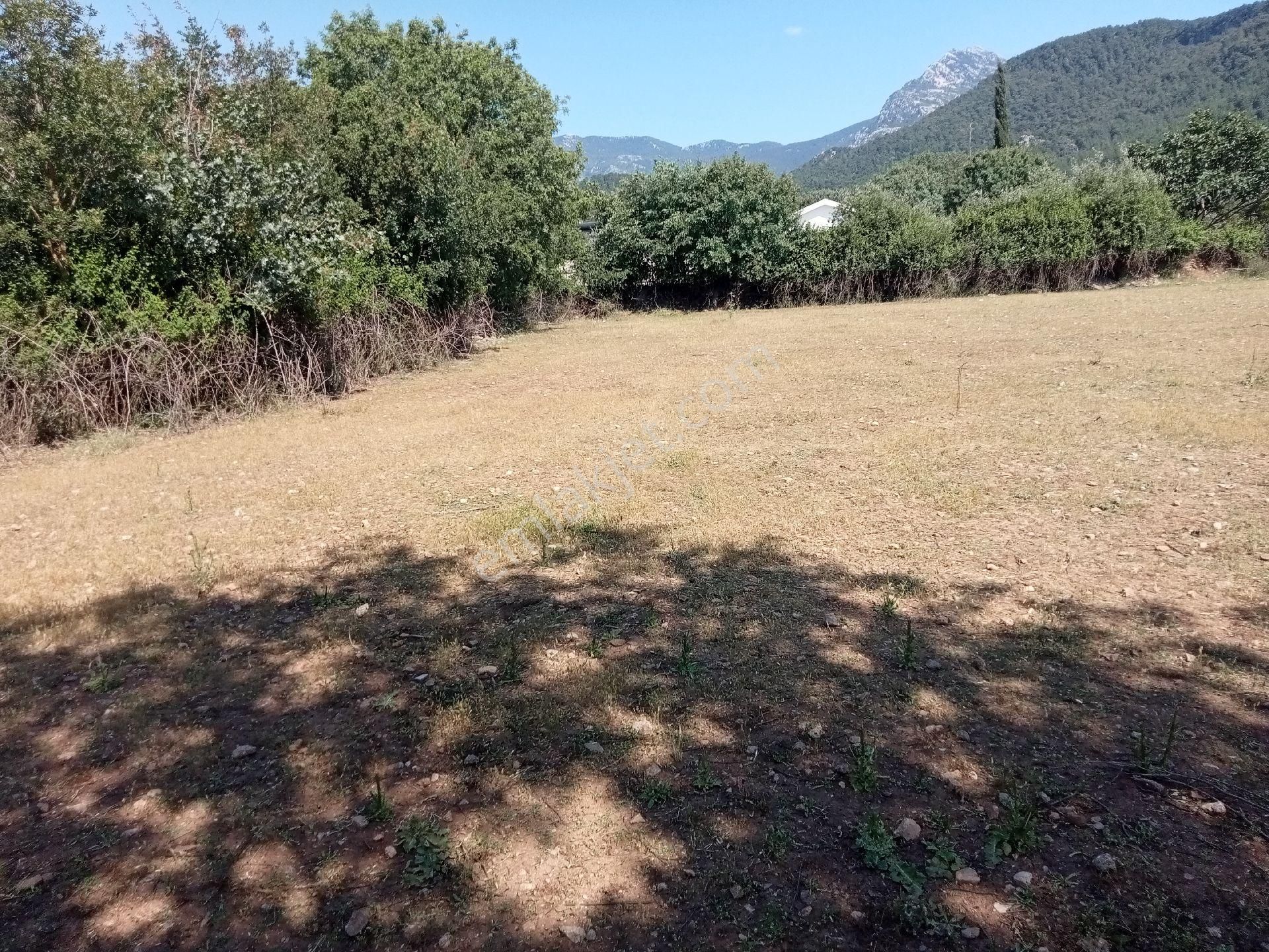 Falcon Dan Fethiye Kayaköy De 4793m² - Görsel 15