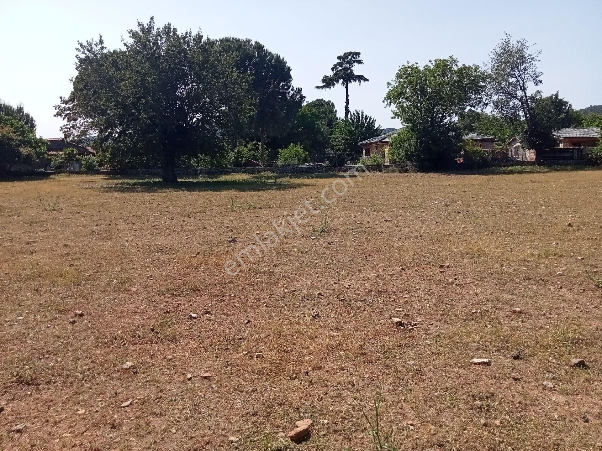 Falcon Dan Fethiye Kayaköy De 4793m² - Görsel 27