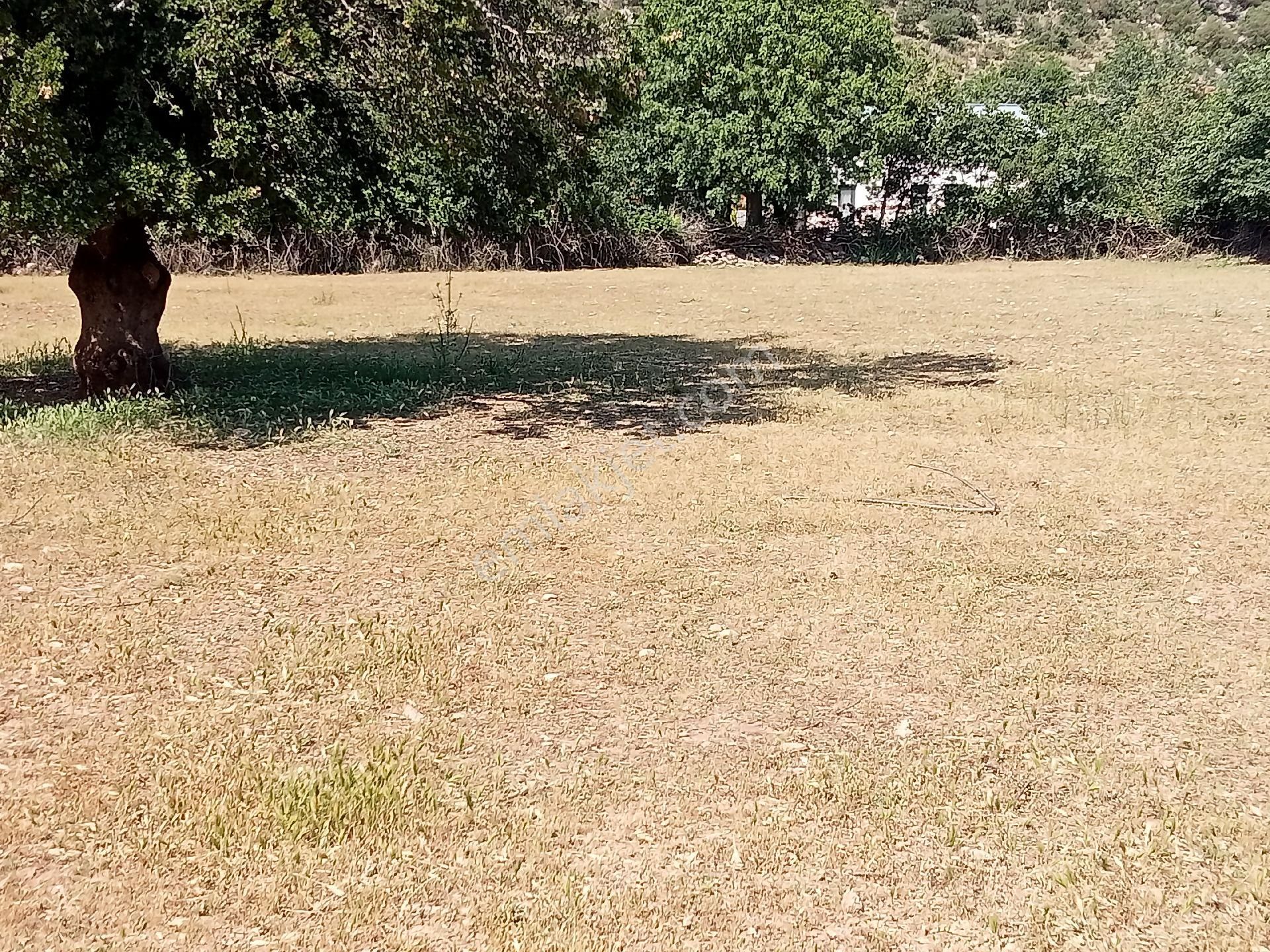 Falcon Dan Fethiye Kayaköy De 4793m² - Görsel 10