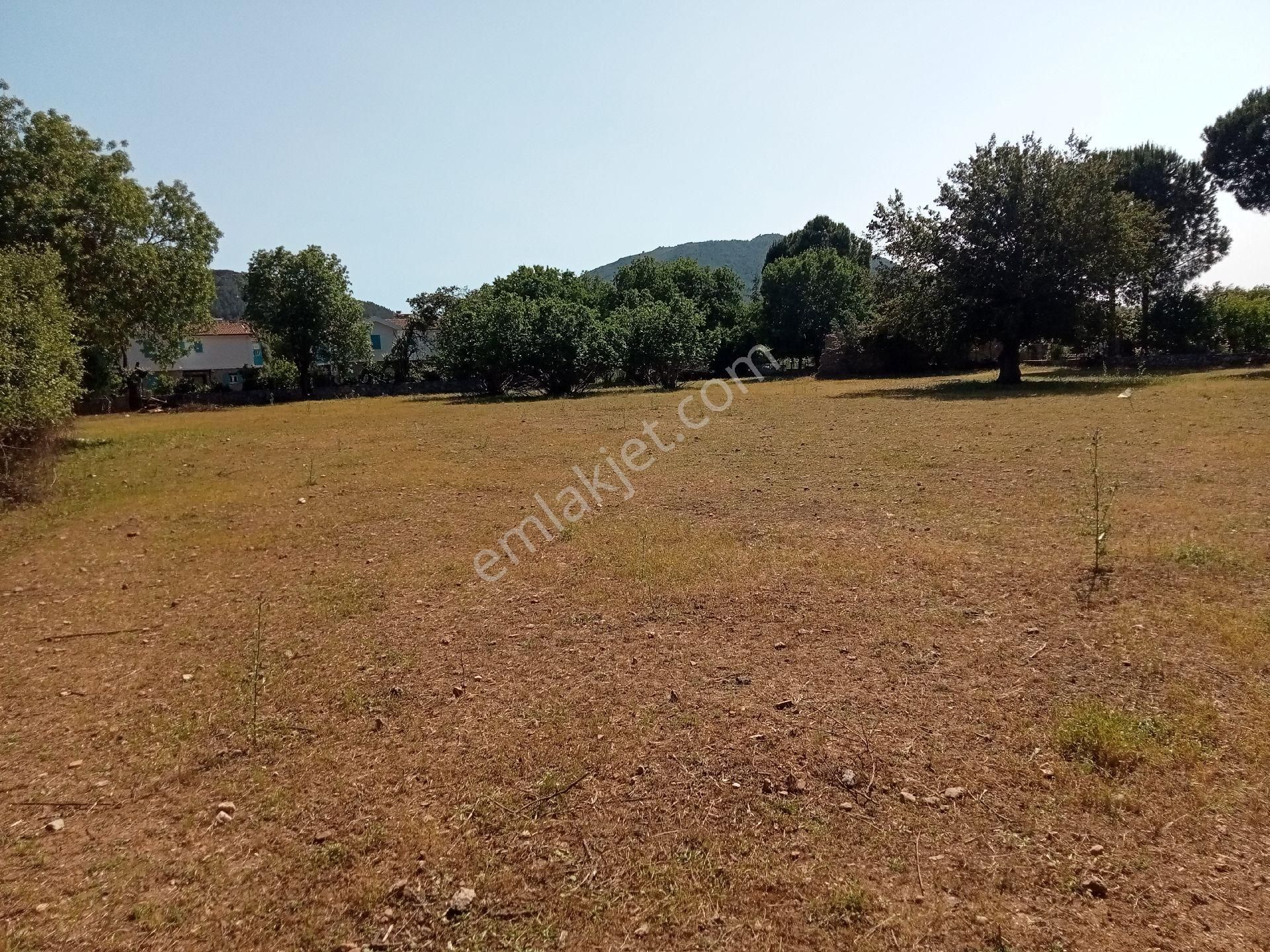 Falcon Dan Fethiye Kayaköy De 4793m² - Görsel 22