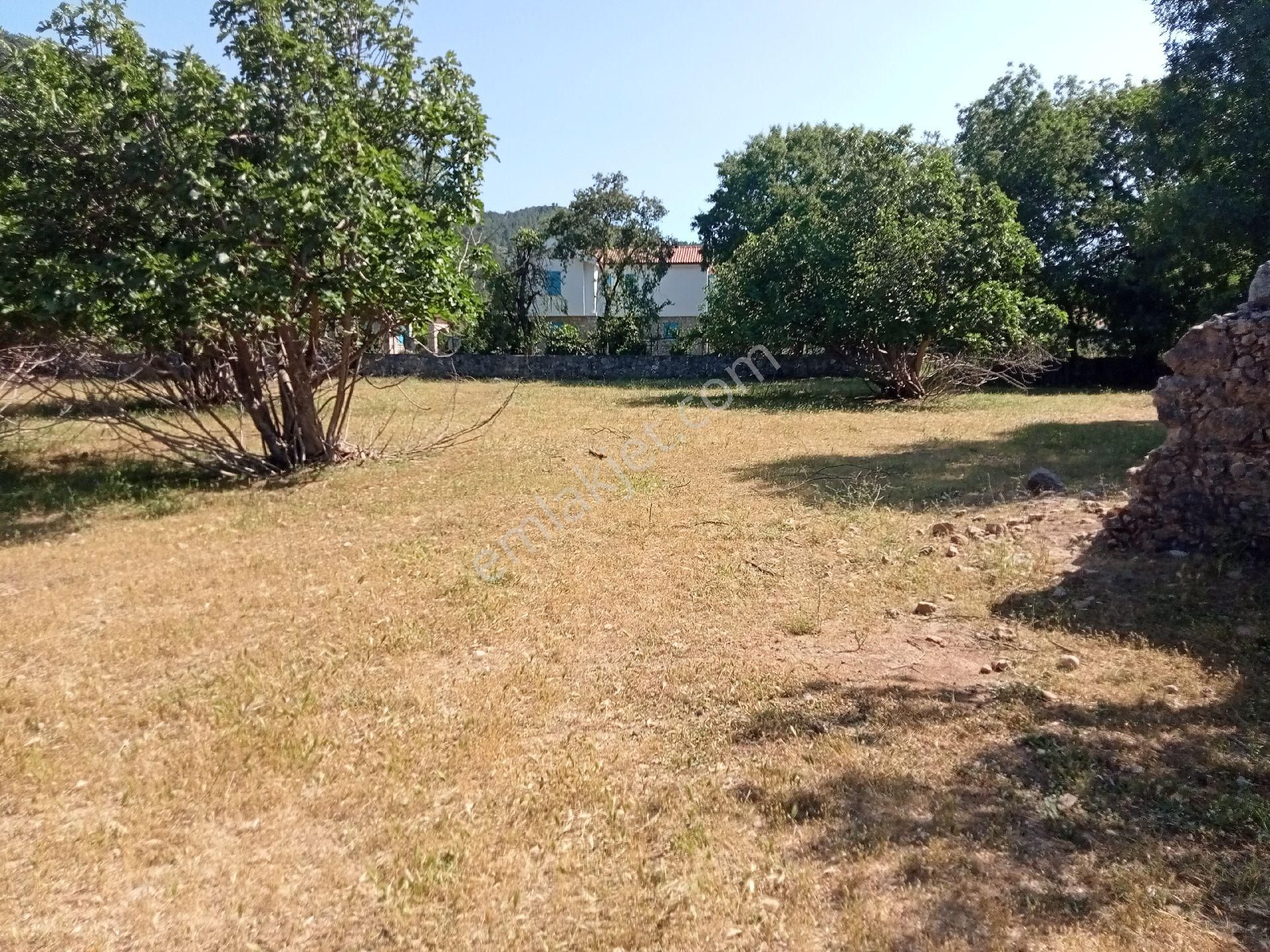Falcon Dan Fethiye Kayaköy De 4793m² - Görsel 11