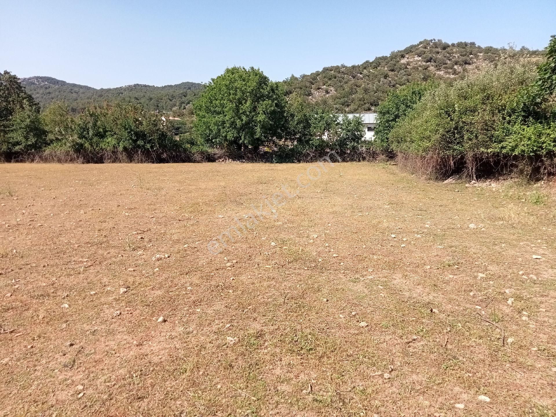 Falcon Dan Fethiye Kayaköy De 4793m² - Görsel 24
