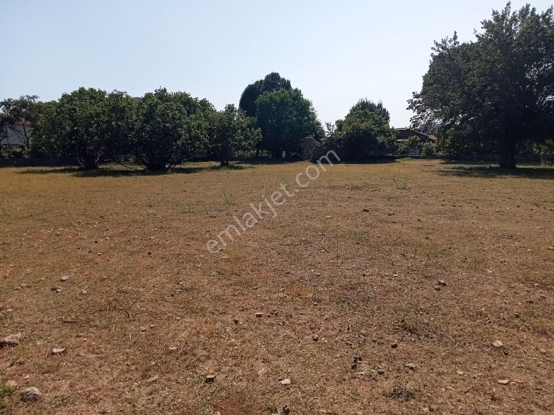 Falcon Dan Fethiye Kayaköy De 4793m² - Görsel 23