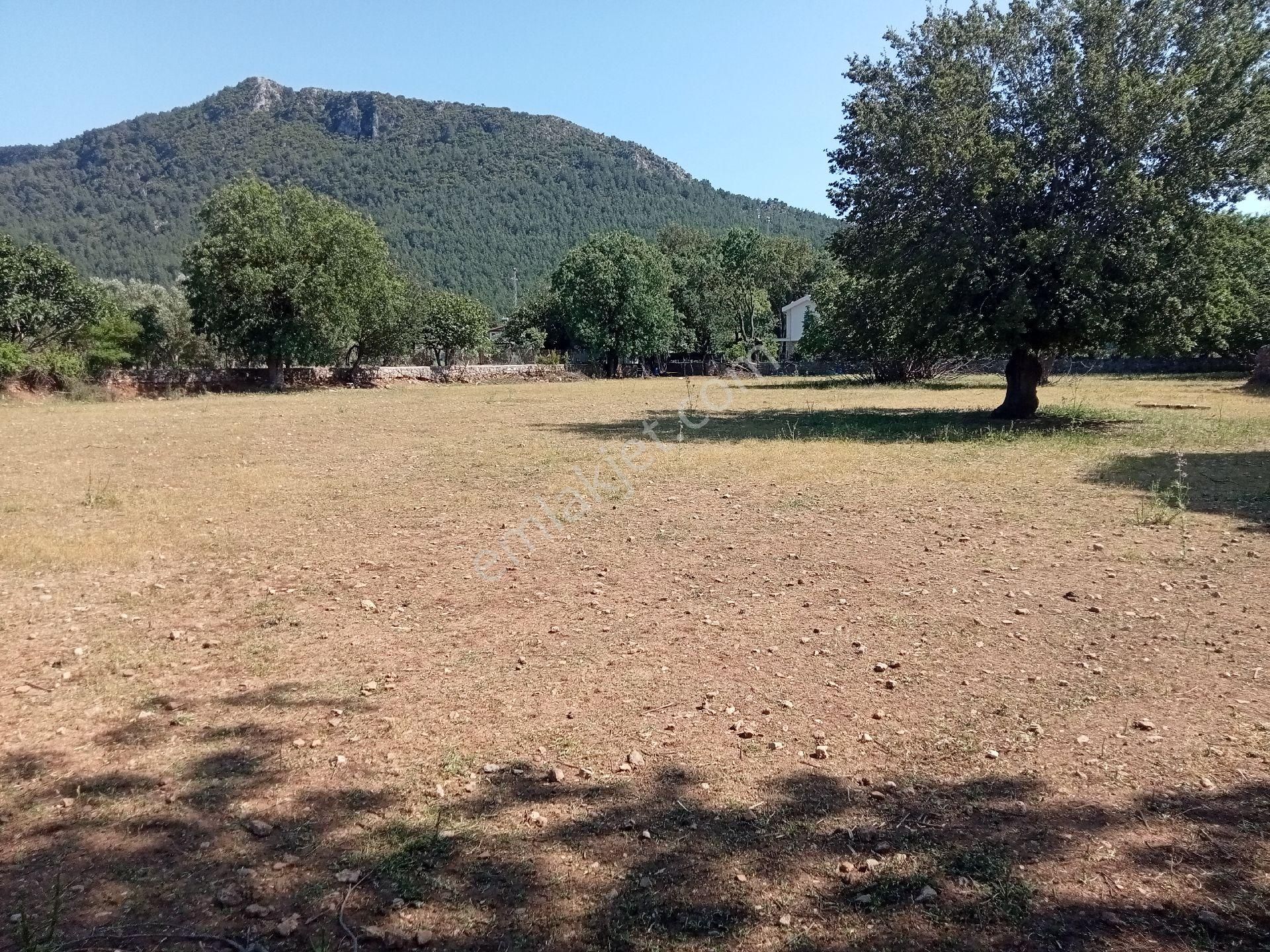 Falcon Dan Fethiye Kayaköy De 4793m² - Görsel 19
