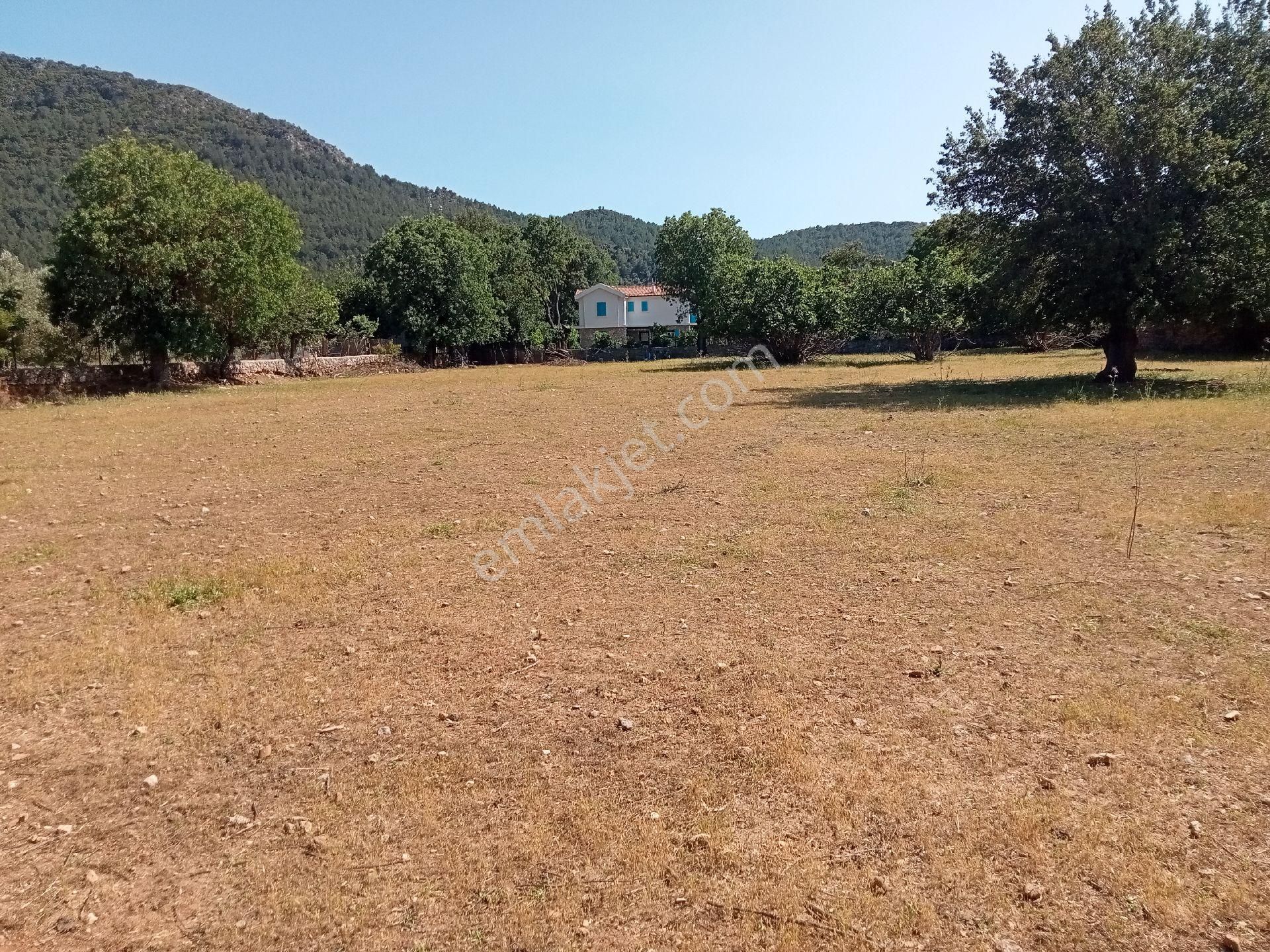 Falcon Dan Fethiye Kayaköy De 4793m² - Görsel 17
