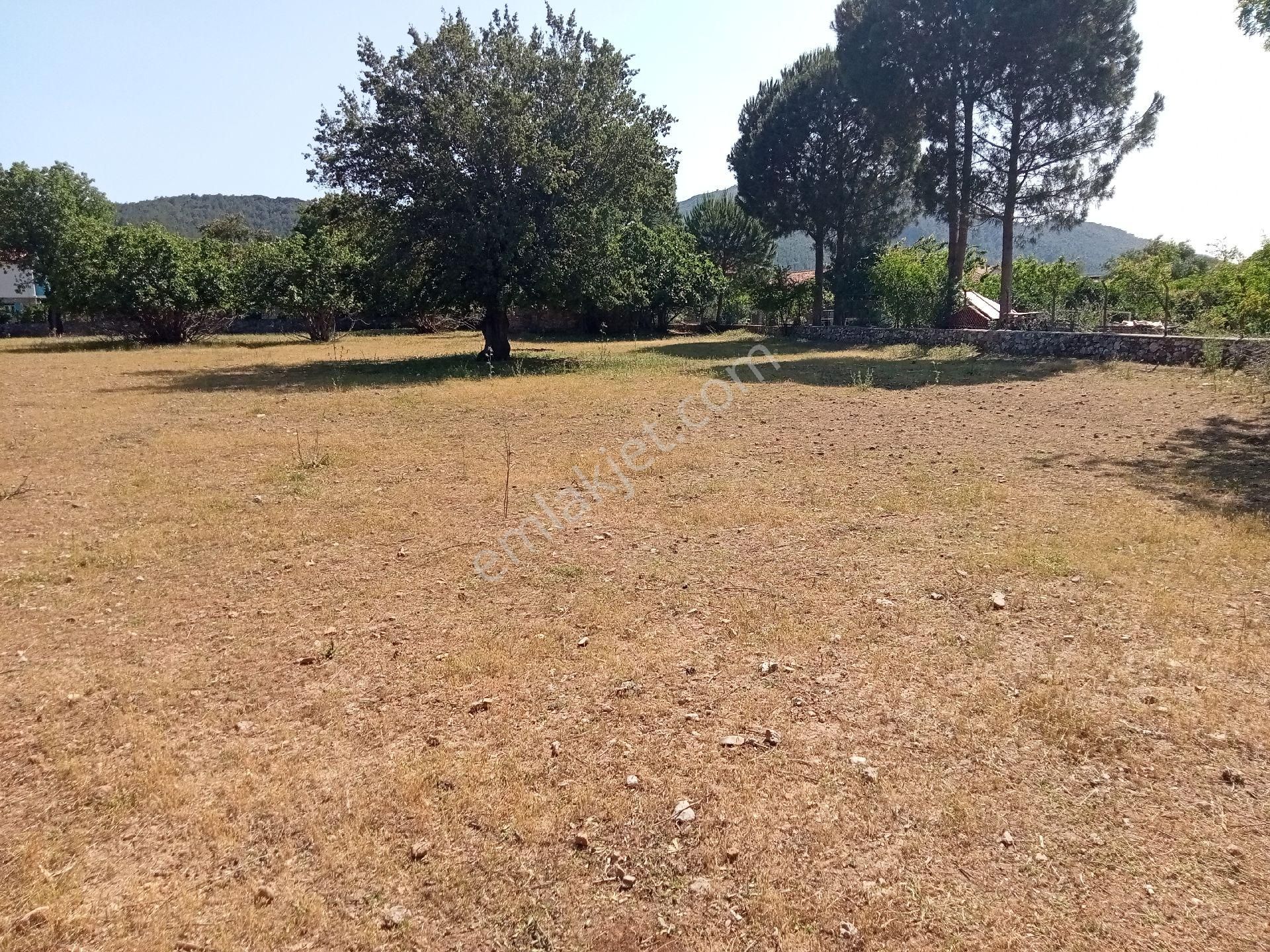 Falcon Dan Fethiye Kayaköy De 4793m² - Görsel 20