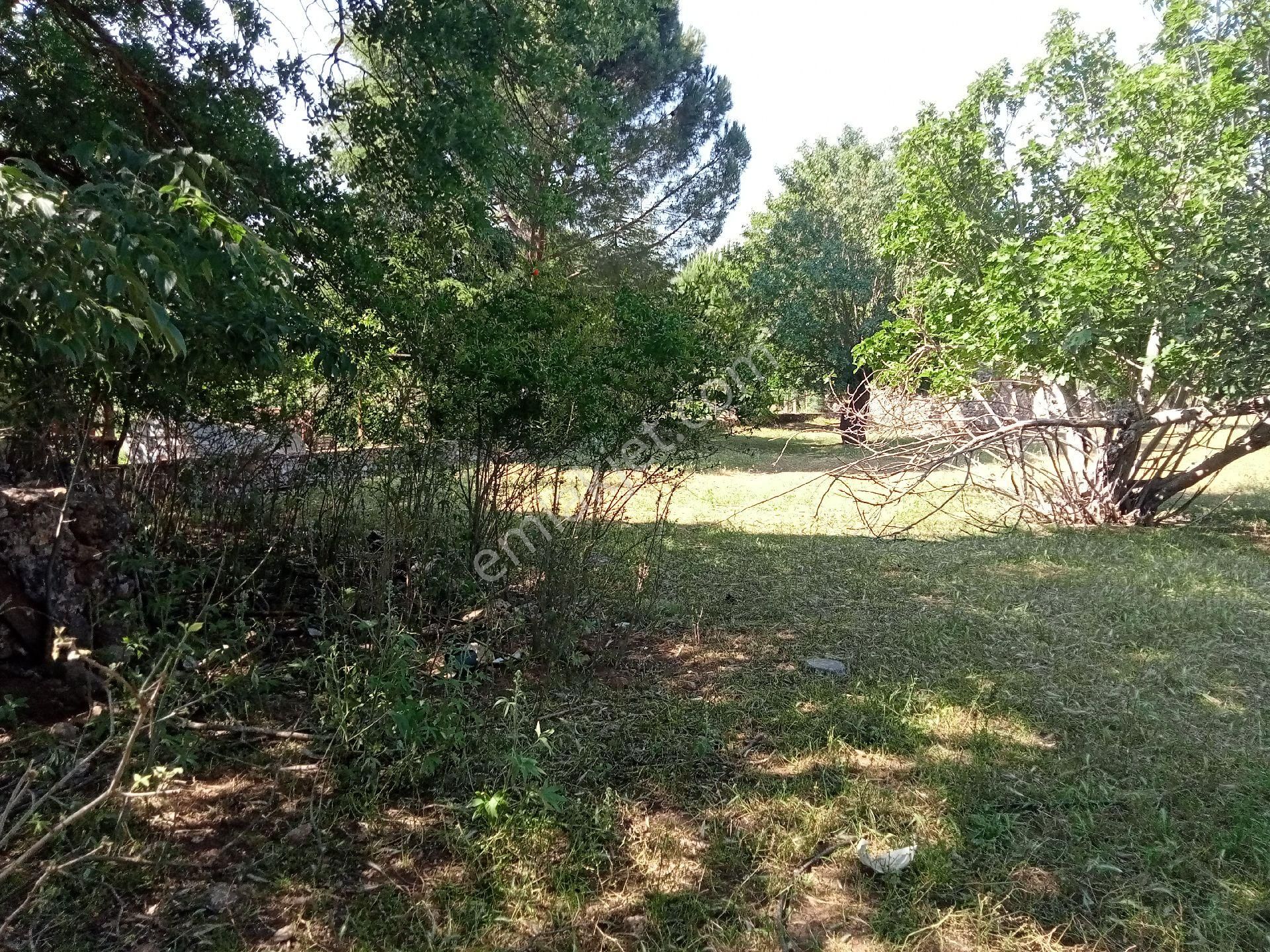 Falcon Dan Fethiye Kayaköy De 4793m² - Görsel 7
