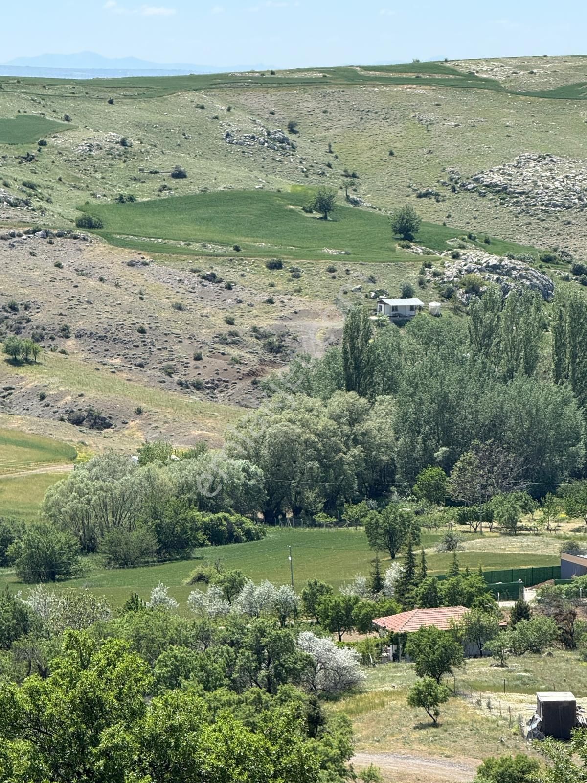 Sincan Ücret Mah Bağlarda Acil Satılık Bahçe Tek Tapu