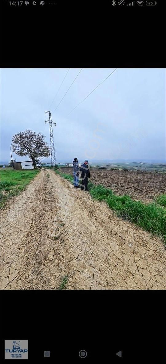 Sakarya, Söğütlü İmamlar Köyünde Fırsat Arsa