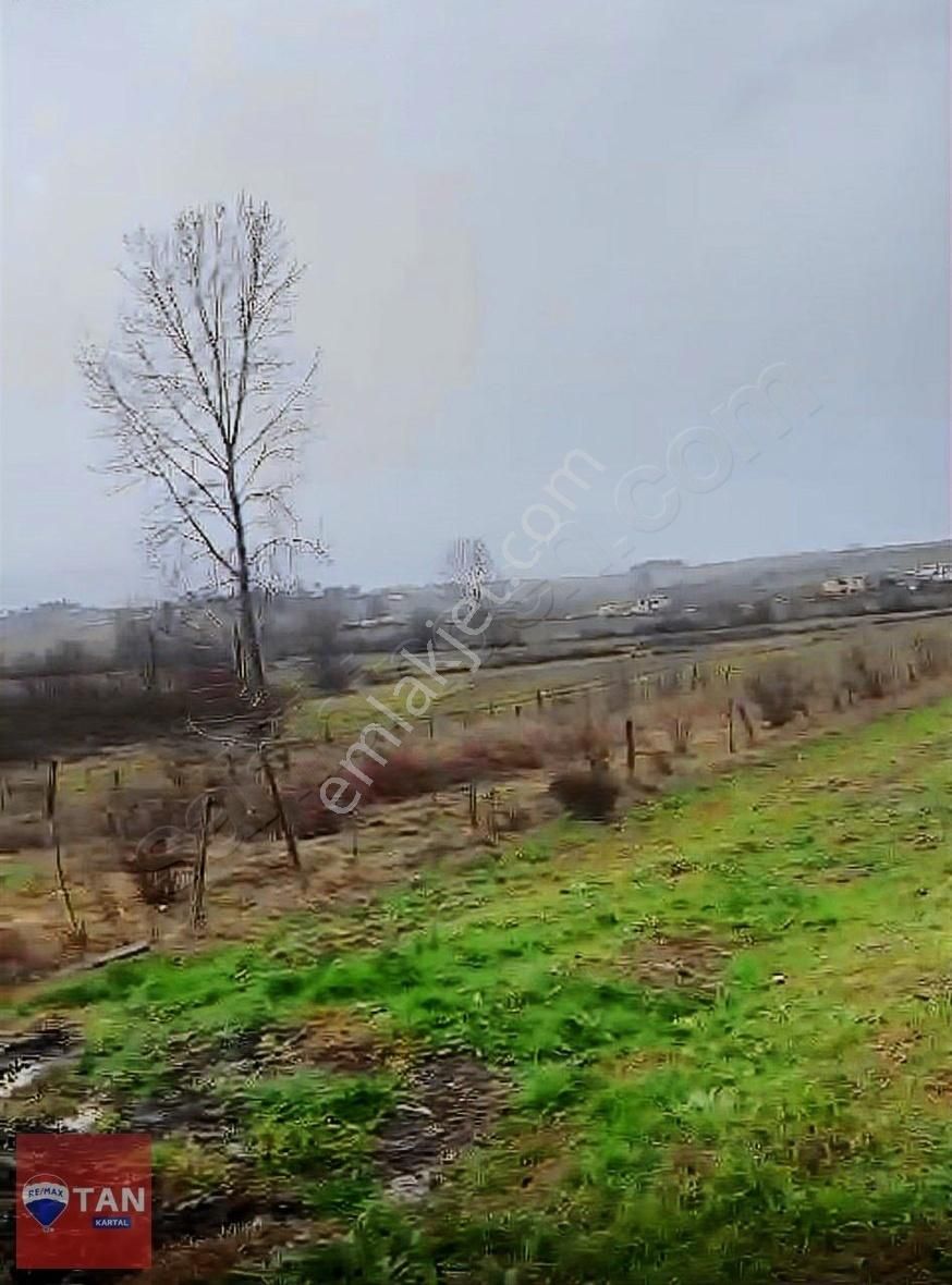 Kocaeli Kandıra Beyce Mahallesinde Satılık Tarla Arazi