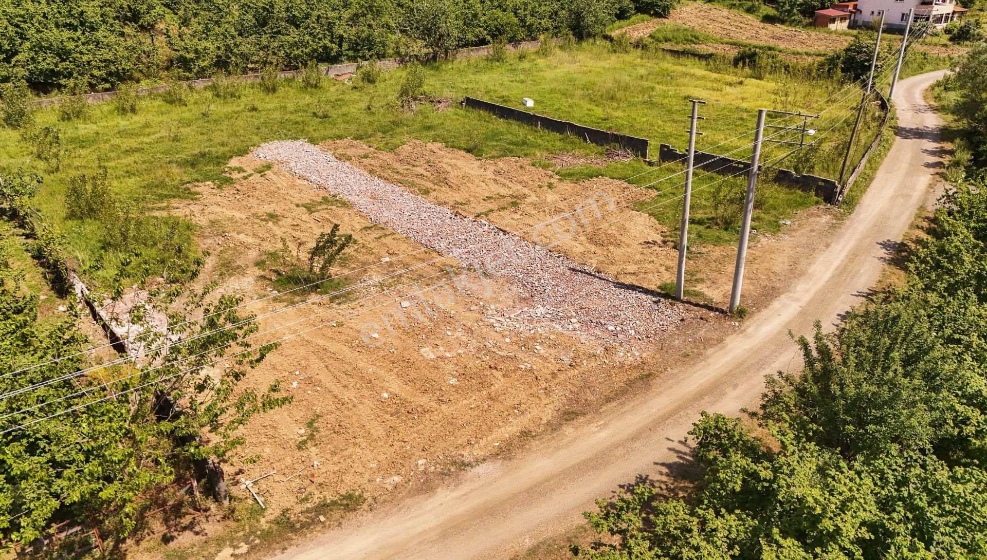 Kocaali - Kozluk Mahallesinde 305 M2 İnşaata Hazır Arsa