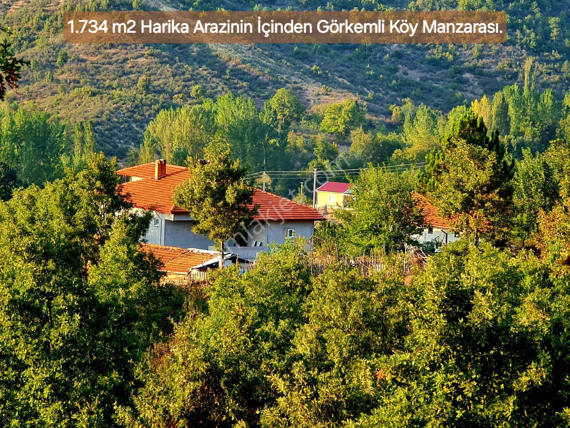 Kütahya Domaniç Sarıot'da Köyde 1.734 M2 Bahçe. Açıklamayı Okuyunuz.