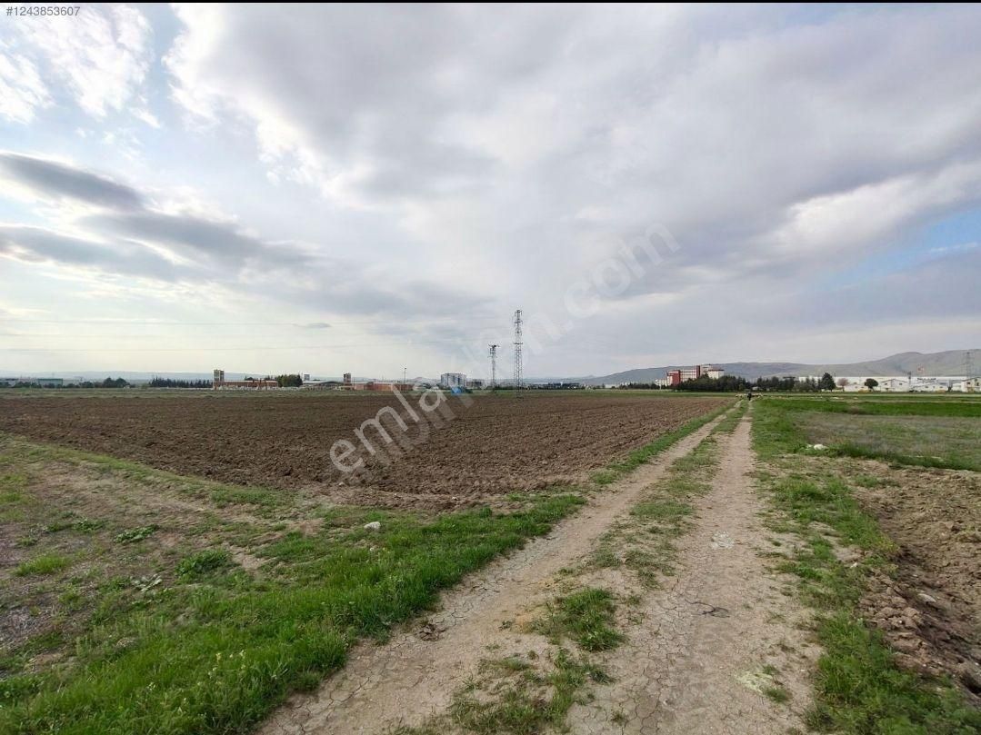 Susuz Atakey Arkası Satılık Arazi