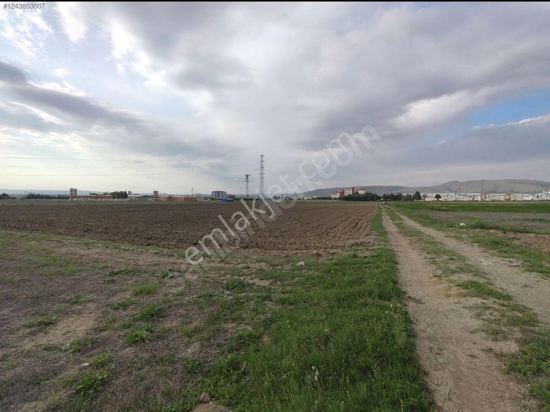 Susuz Atakey Arkası Satılık Arazi - Görsel 2
