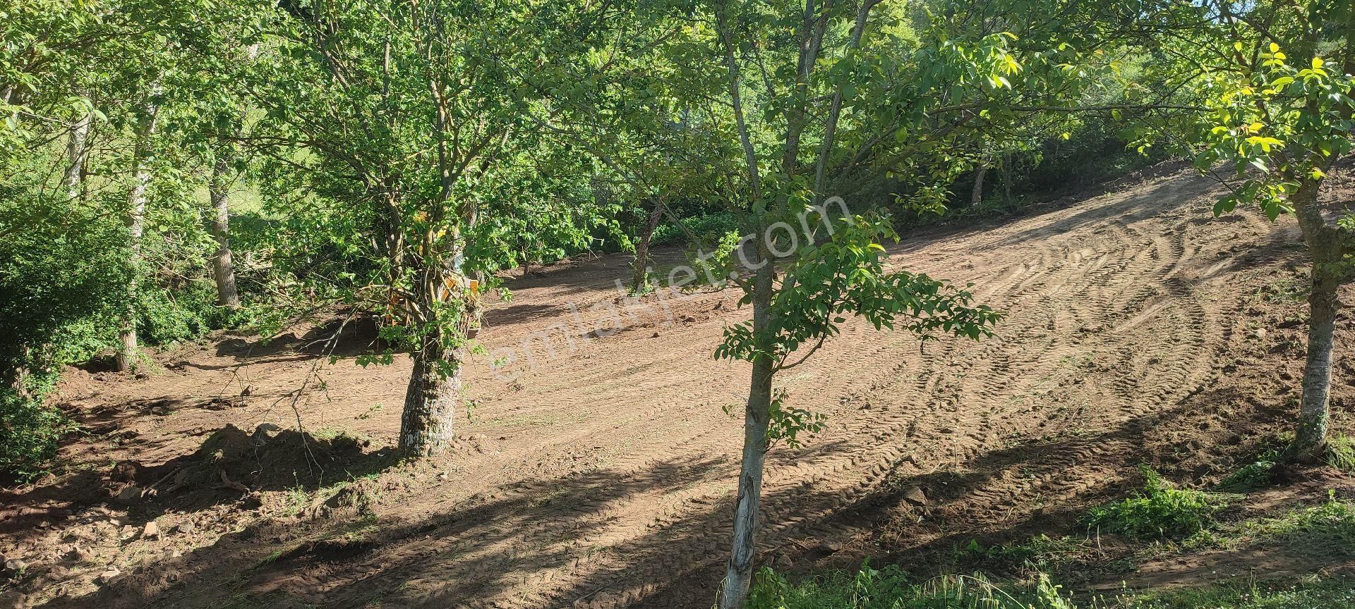 Karamürsel Kadriye Mahallesi Satılık 1061 M2 Fırsat Tarla