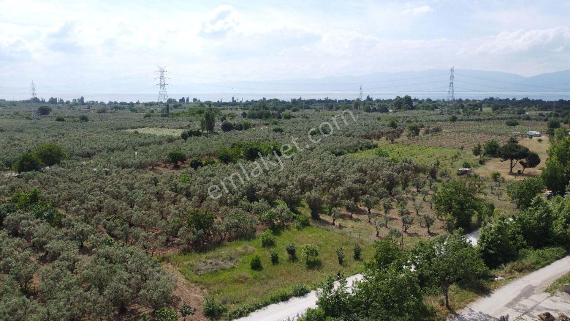 Yeniköy Altı Kuzuluk Mevkinde Hobi Bahçesine Uygun 750 M² Tarla - Görsel 19