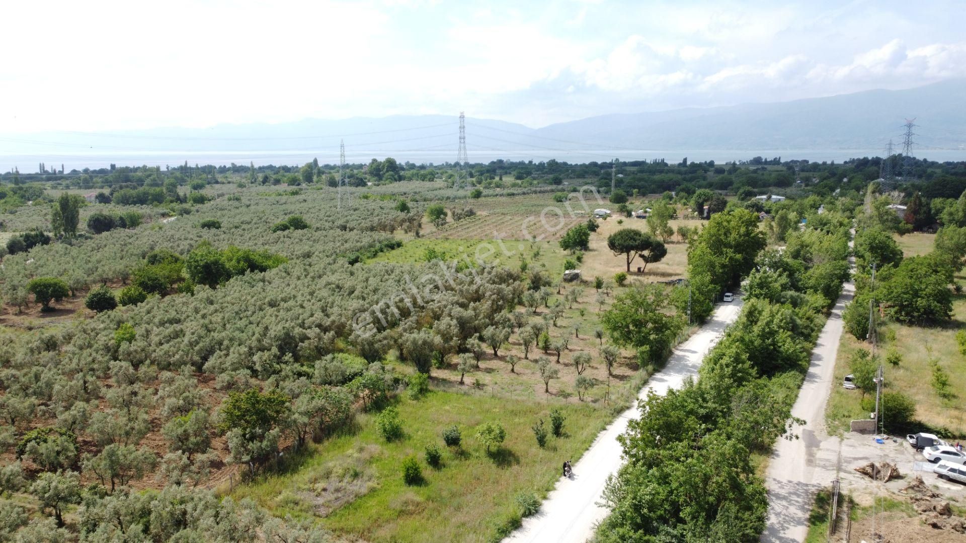 Yeniköy Altı Kuzuluk Mevkinde Hobi Bahçesine Uygun 750 M² Tarla - Görsel 16