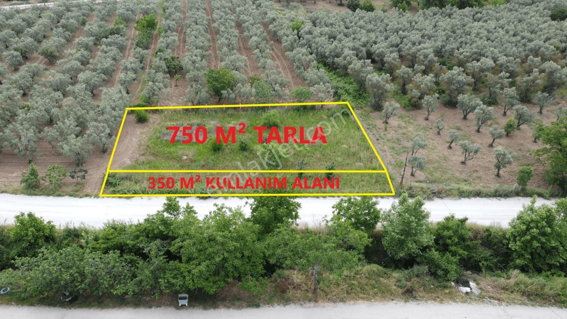 Yeniköy Altı Kuzuluk Mevkinde Hobi Bahçesine Uygun 750 M² Tarla