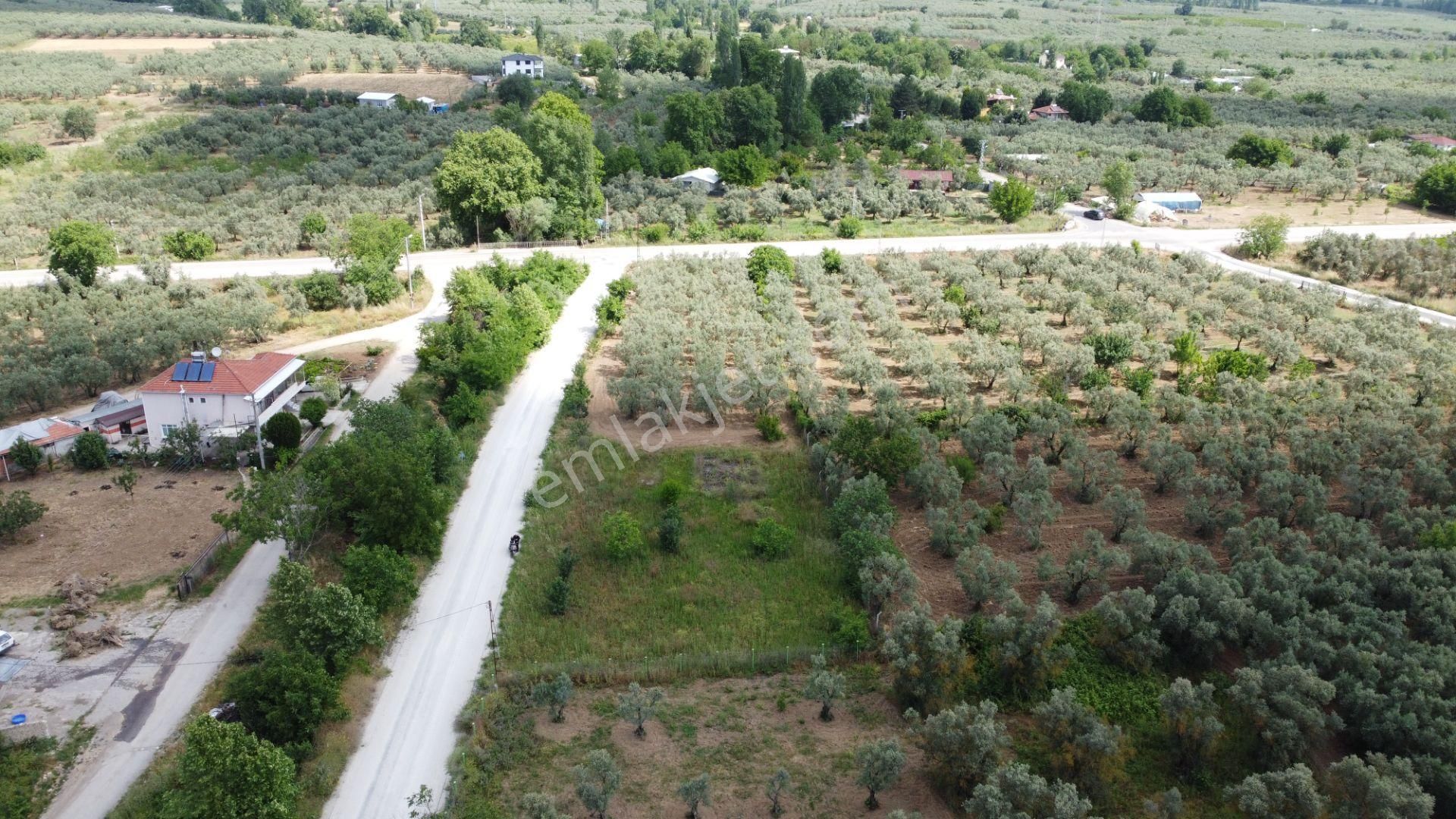Yeniköy Altı Kuzuluk Mevkinde Hobi Bahçesine Uygun 750 M² Tarla - Görsel 5