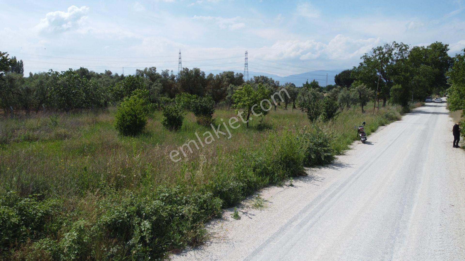 Yeniköy Altı Kuzuluk Mevkinde Hobi Bahçesine Uygun 750 M² Tarla - Görsel 24