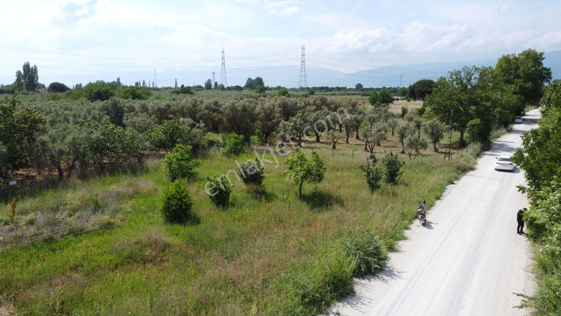 Yeniköy Altı Kuzuluk Mevkinde Hobi Bahçesine Uygun 750 M² Tarla - Görsel 23