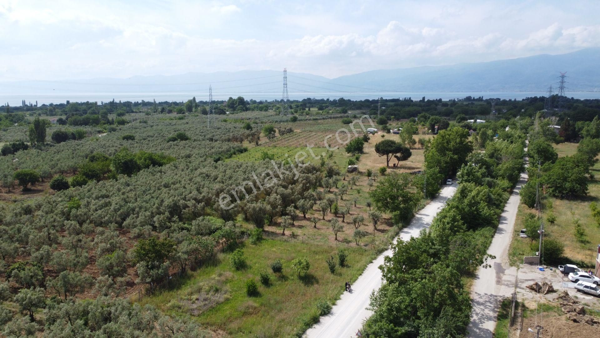 Yeniköy Altı Kuzuluk Mevkinde Hobi Bahçesine Uygun 750 M² Tarla - Görsel 17