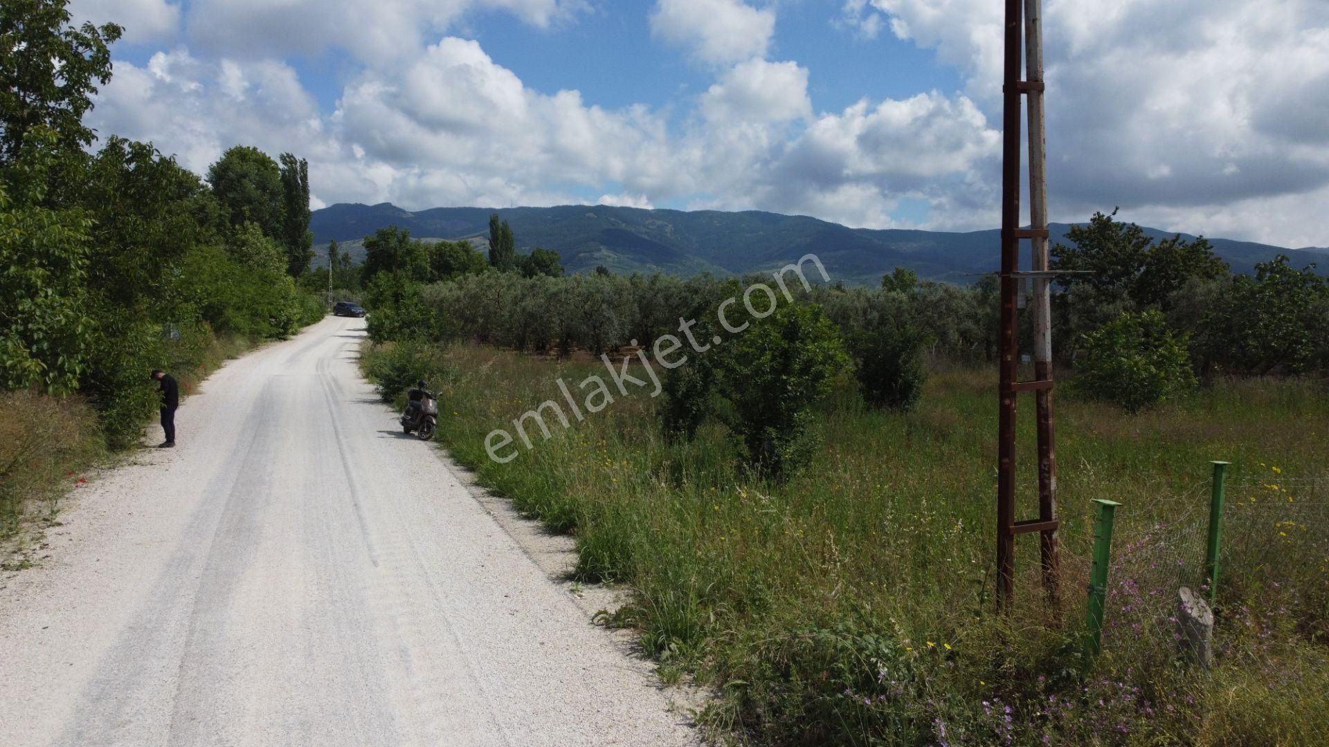 Yeniköy Altı Kuzuluk Mevkinde Hobi Bahçesine Uygun 750 M² Tarla - Görsel 30