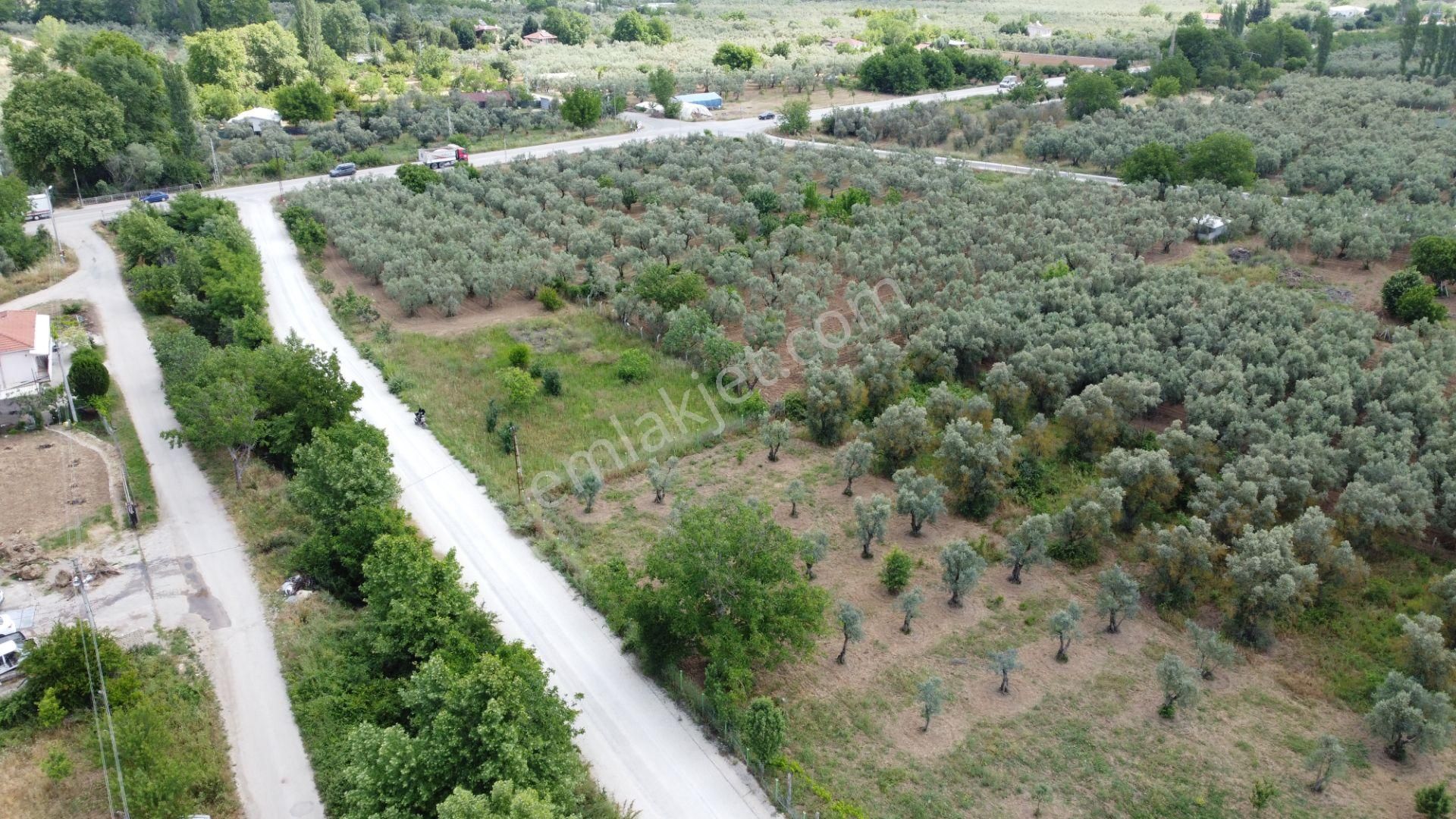 Yeniköy Altı Kuzuluk Mevkinde Hobi Bahçesine Uygun 750 M² Tarla - Görsel 4