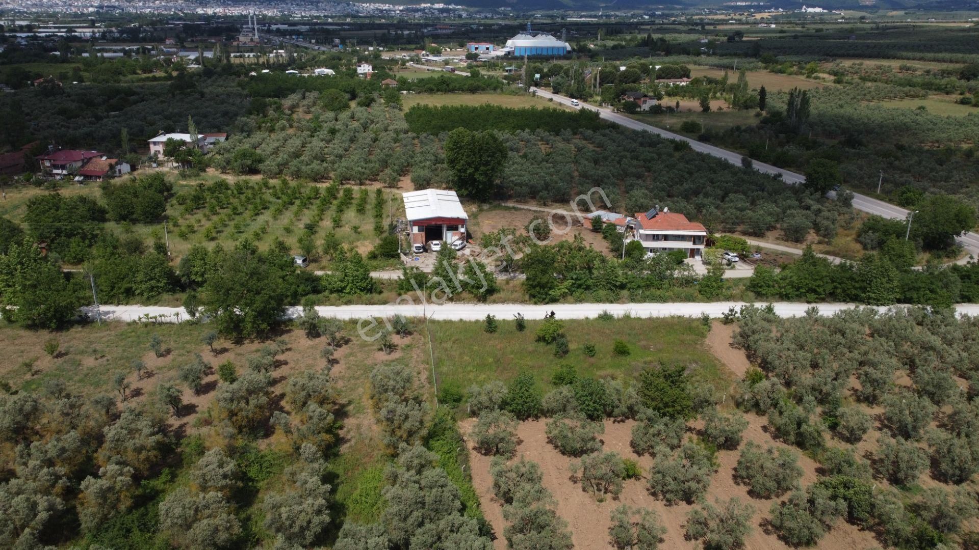 Yeniköy Altı Kuzuluk Mevkinde Hobi Bahçesine Uygun 750 M² Tarla - Görsel 8