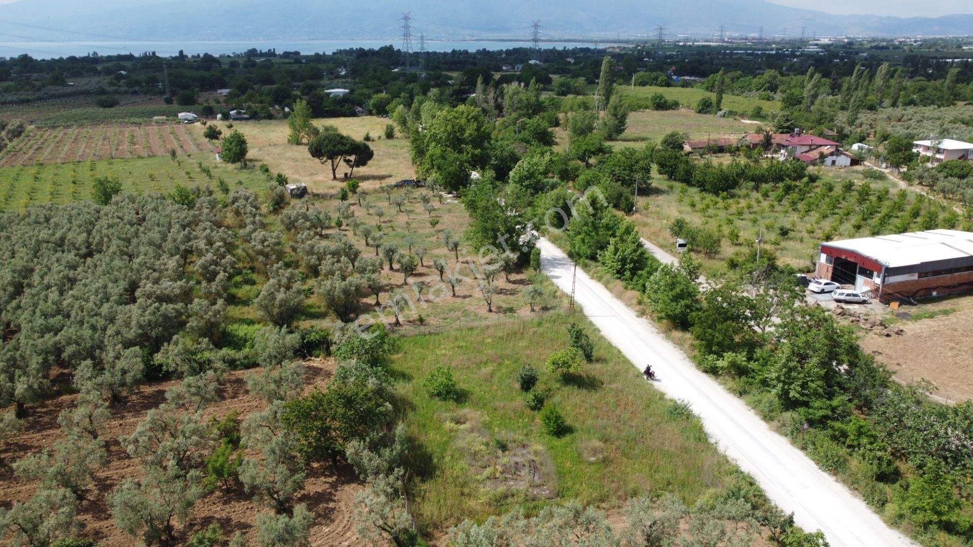 Yeniköy Altı Kuzuluk Mevkinde Hobi Bahçesine Uygun 750 M² Tarla - Görsel 13