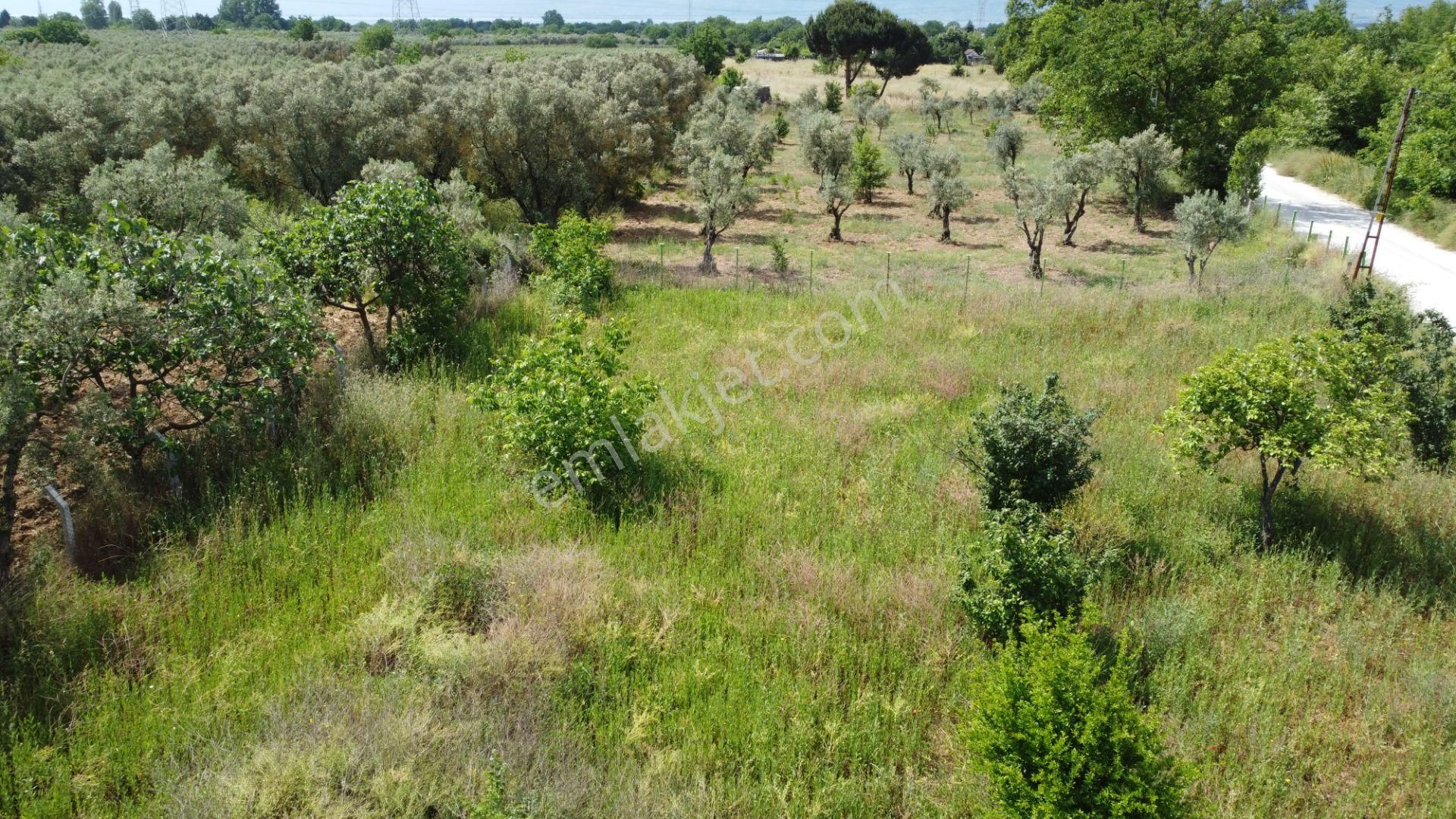 Yeniköy Altı Kuzuluk Mevkinde Hobi Bahçesine Uygun 750 M² Tarla - Görsel 21
