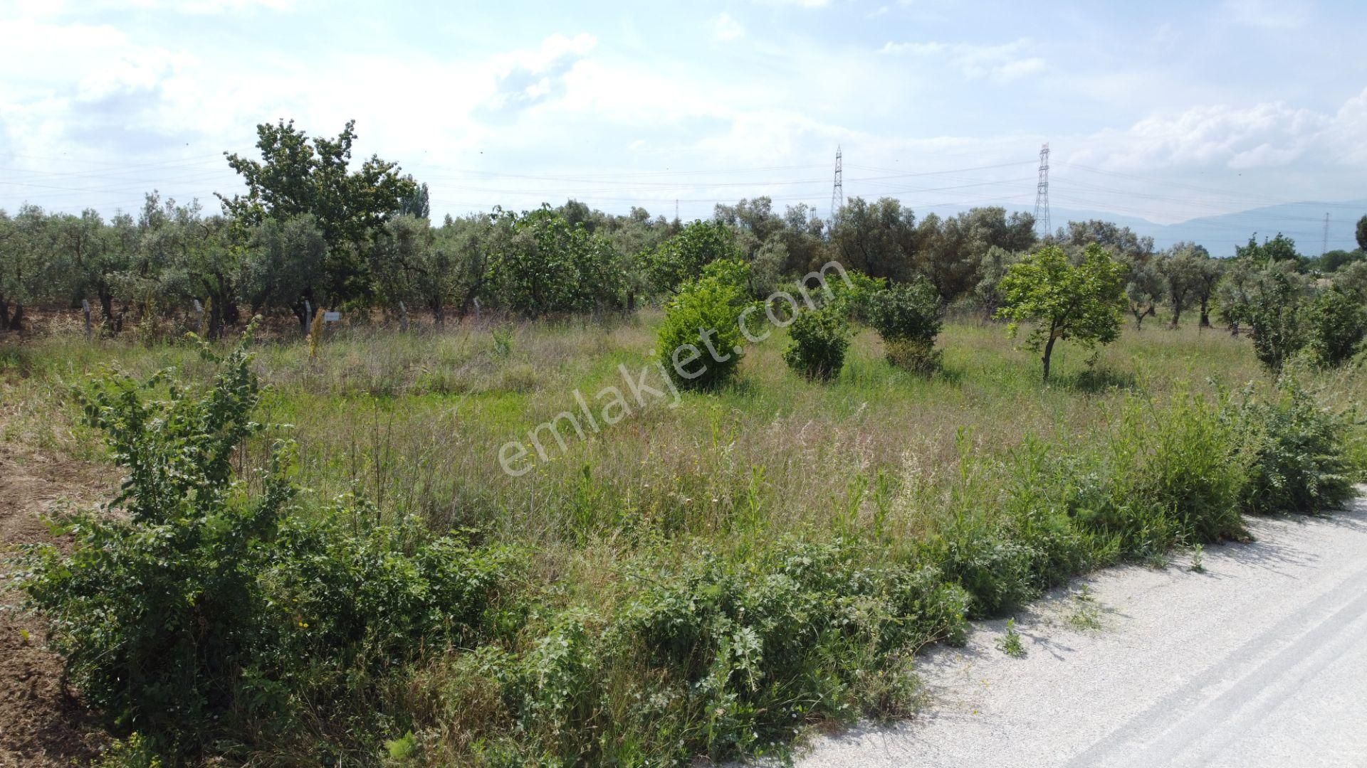 Yeniköy Altı Kuzuluk Mevkinde Hobi Bahçesine Uygun 750 M² Tarla - Görsel 25